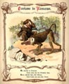 Bild 13 �ffnen